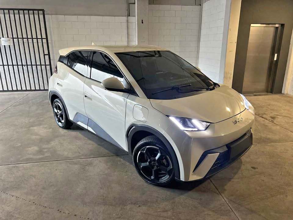 BYD DOLPHIN MINI 24/25